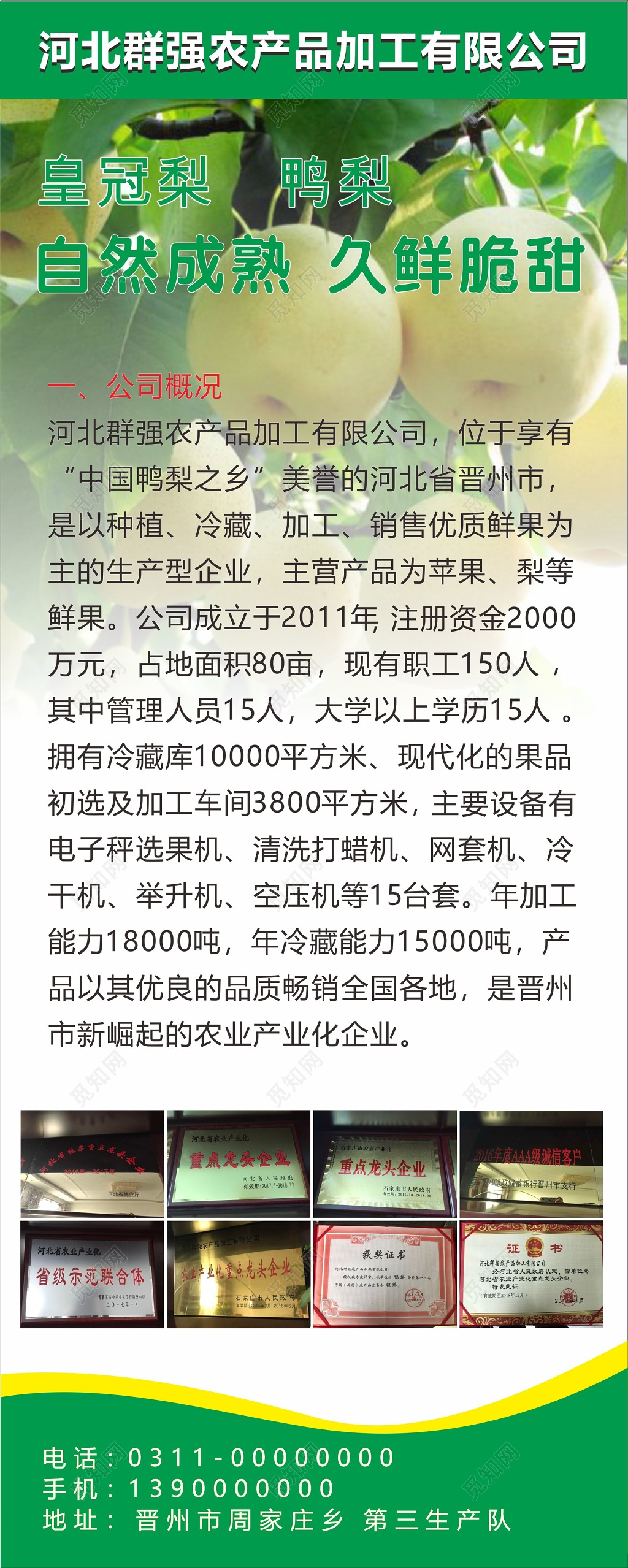 农产品海报农产品易拉宝