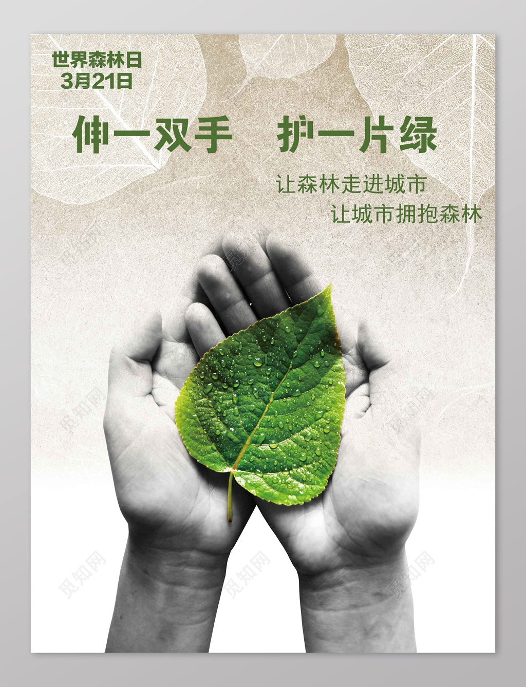 伸一双手护一片绿世界森林日海报