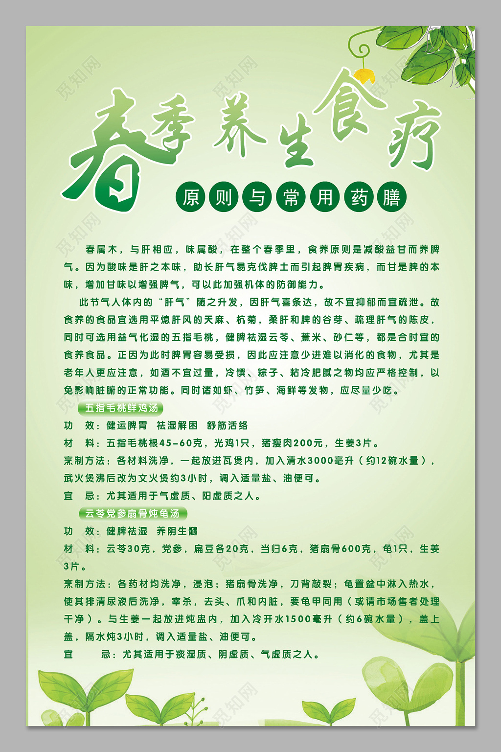 绿色生长春季养生食疗海报设计