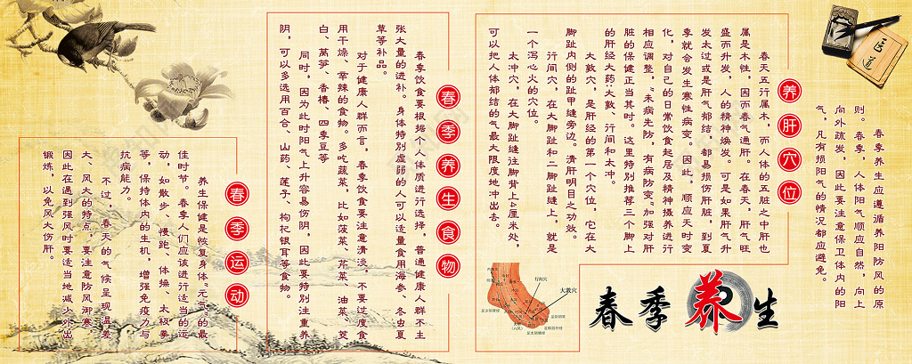 运动养生食物养肝穴位中医养生春季养生养生之道展板