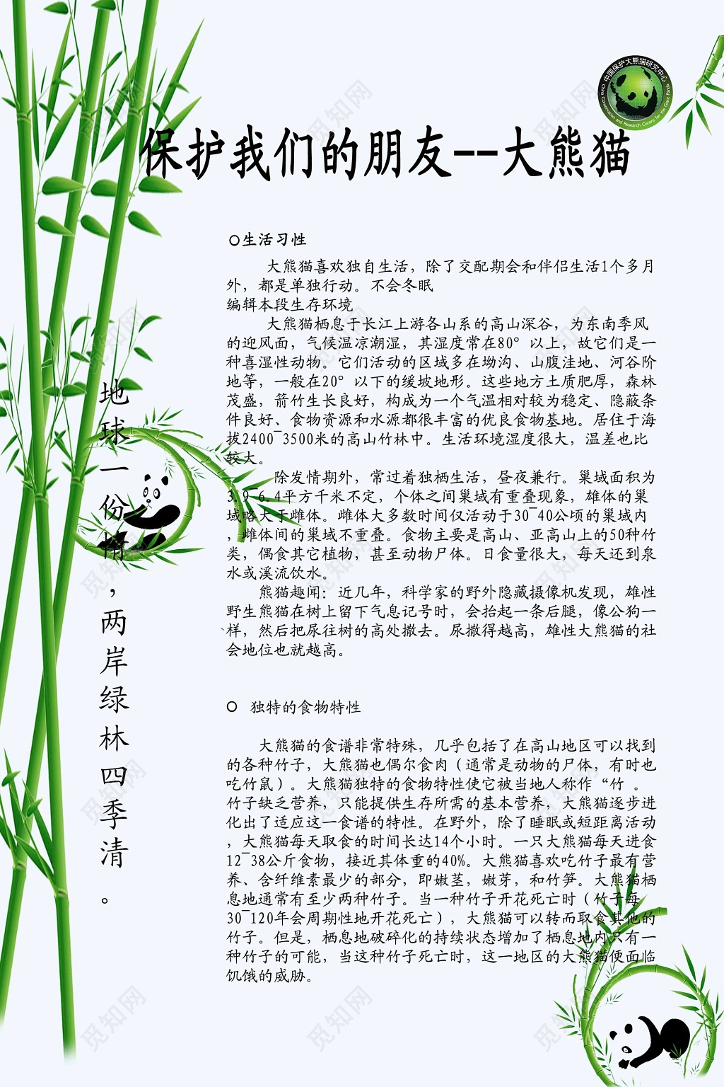 简洁熊猫竹子保护动物动物保护海报