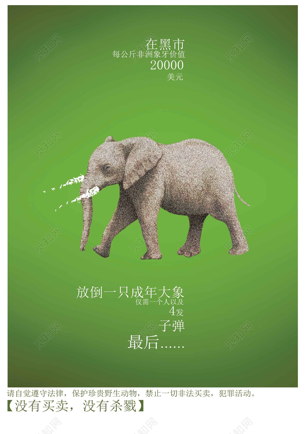 绿色保护大象保护动物动物保护海报