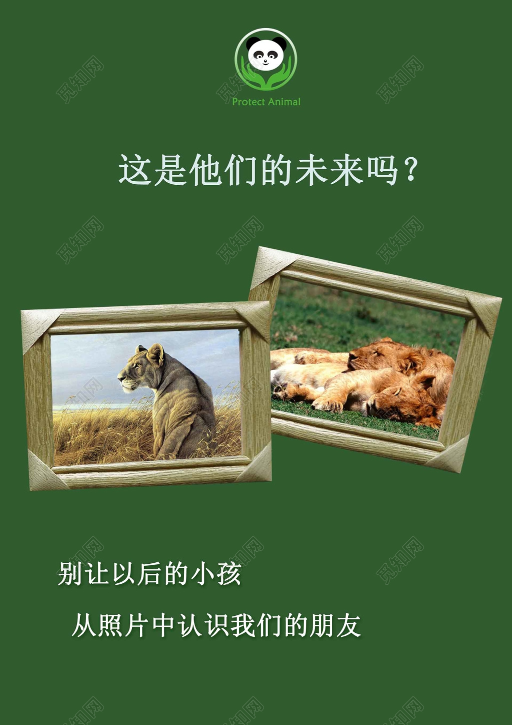 动物未来保护动物动物保护公益海报