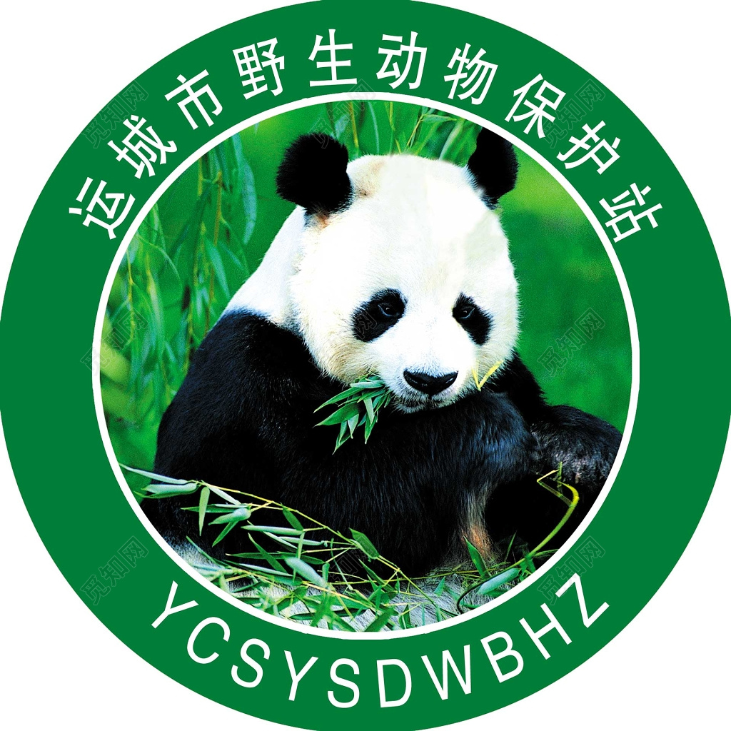 野生动物保护站保护动物动物保护海报