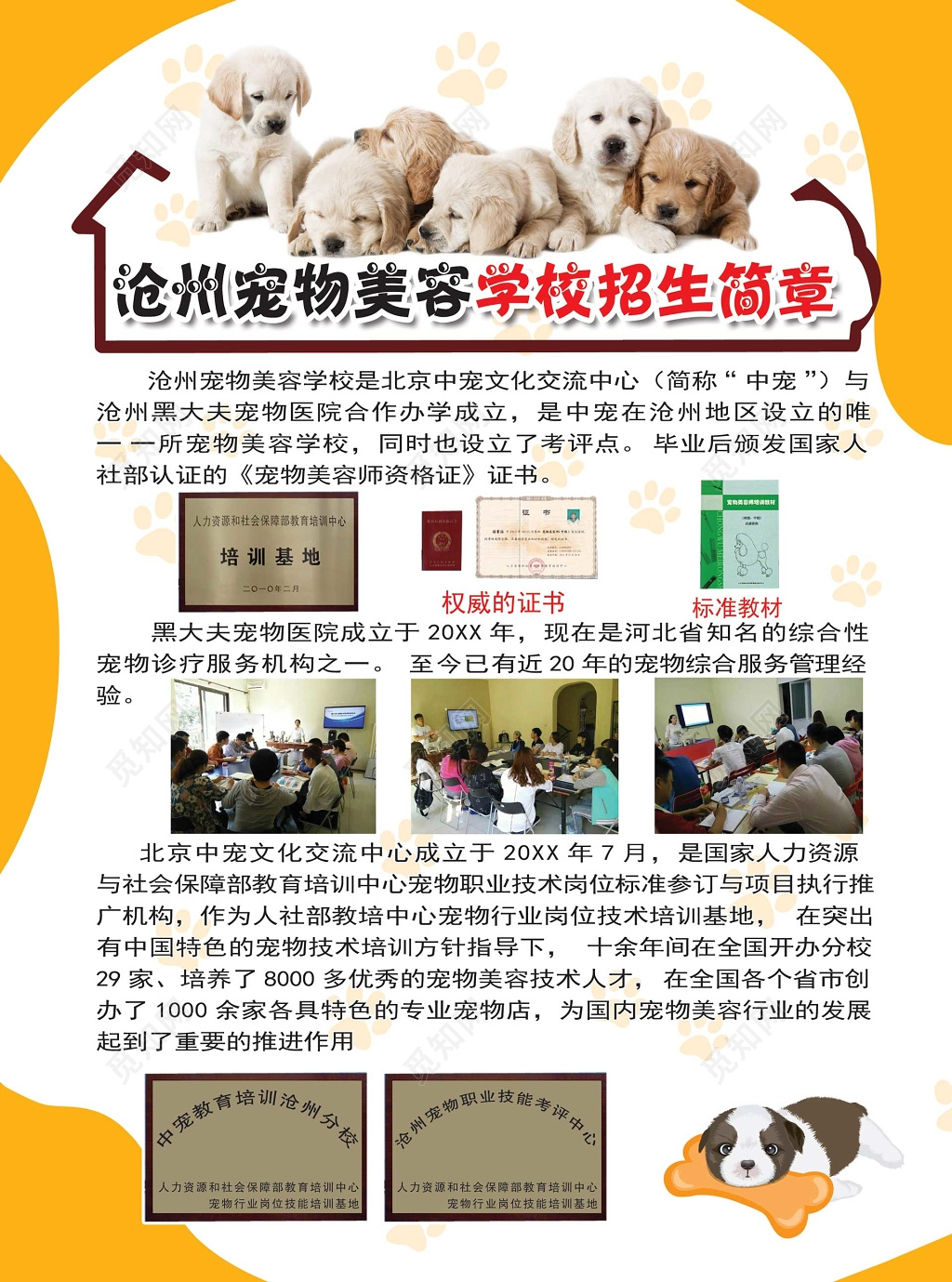 宠物店美容学校招生简章海报