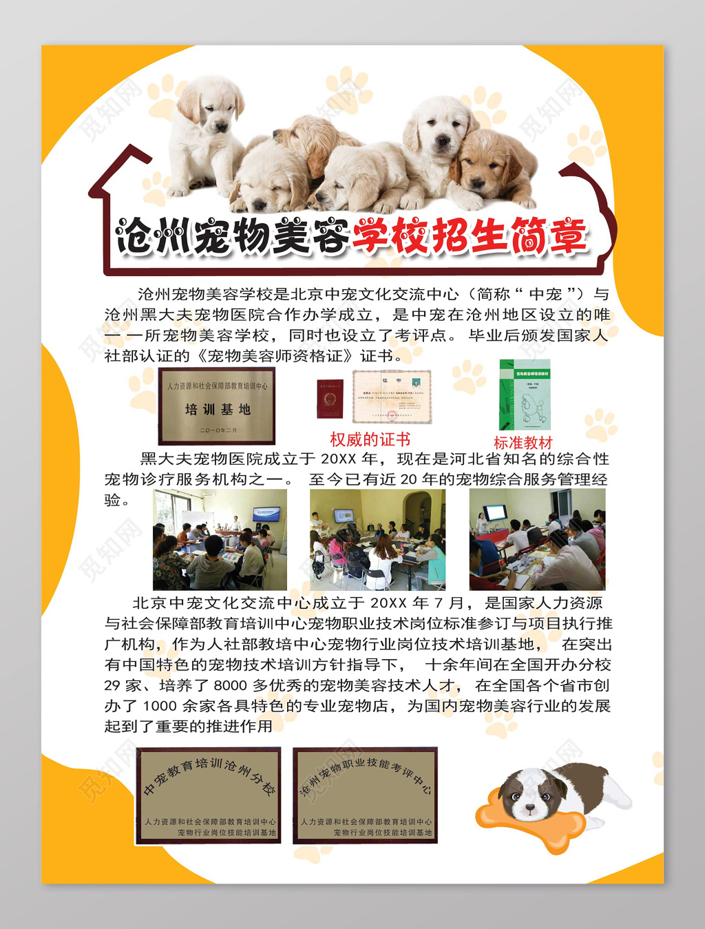 宠物店美容学校招生简章海报
