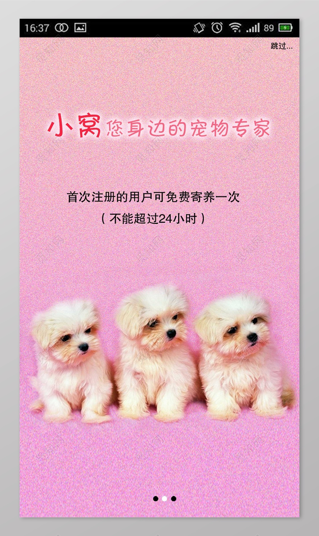 粉色宠物店宠物APP引导页界面设计