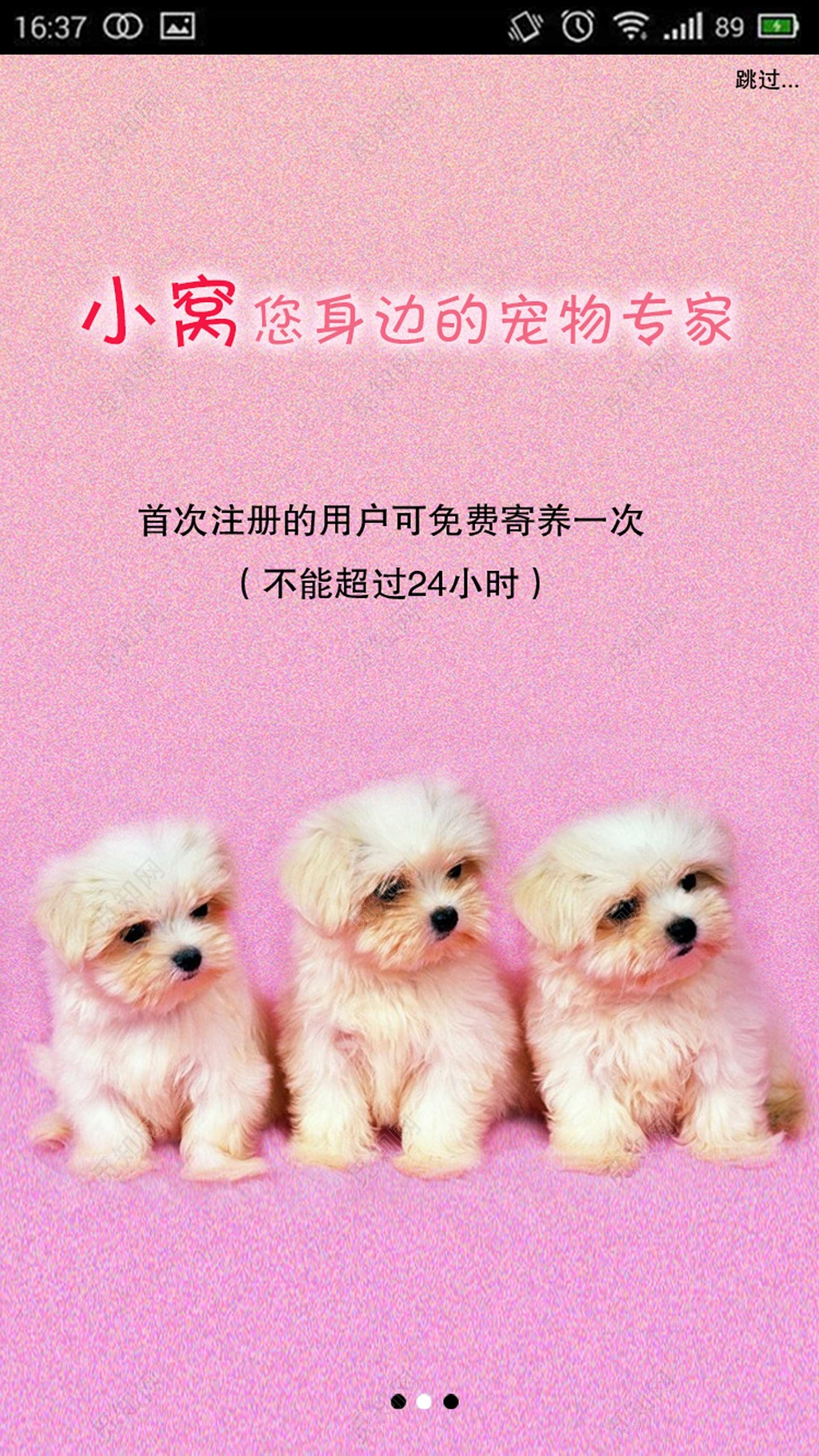 粉色宠物店宠物APP引导页界面设计