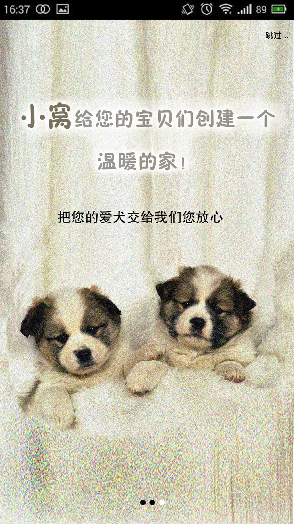 宠物店宠物APP引导页界面设计