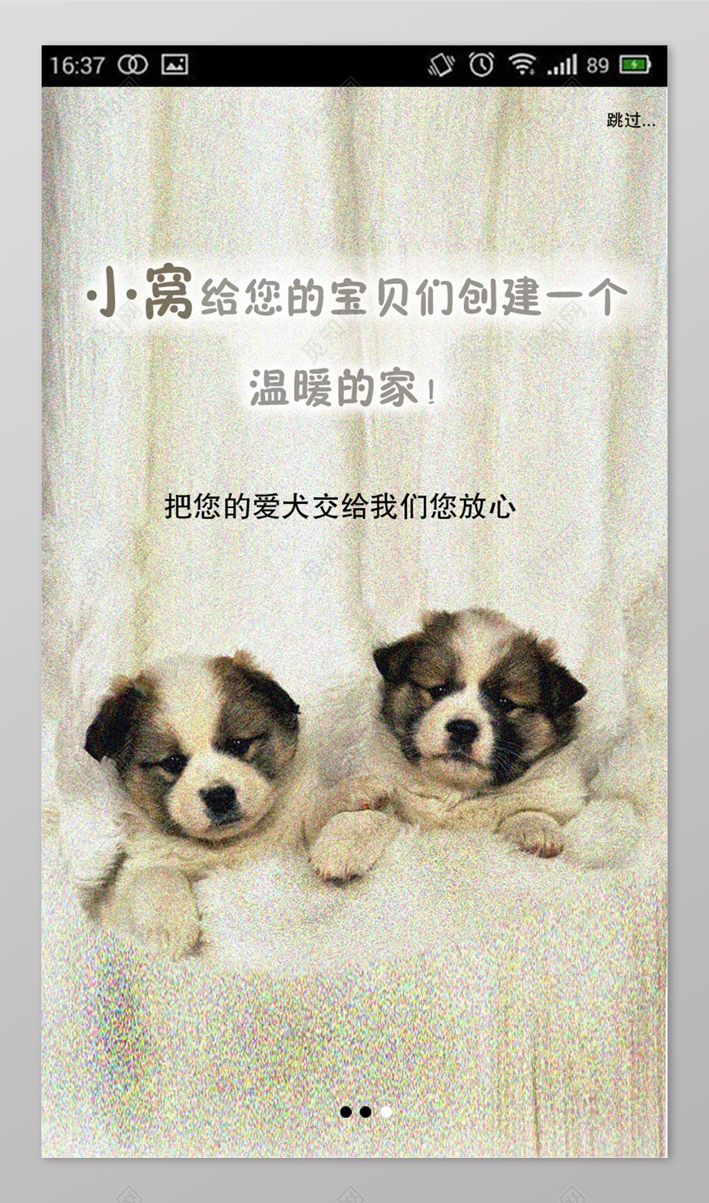 宠物店宠物APP引导页界面设计