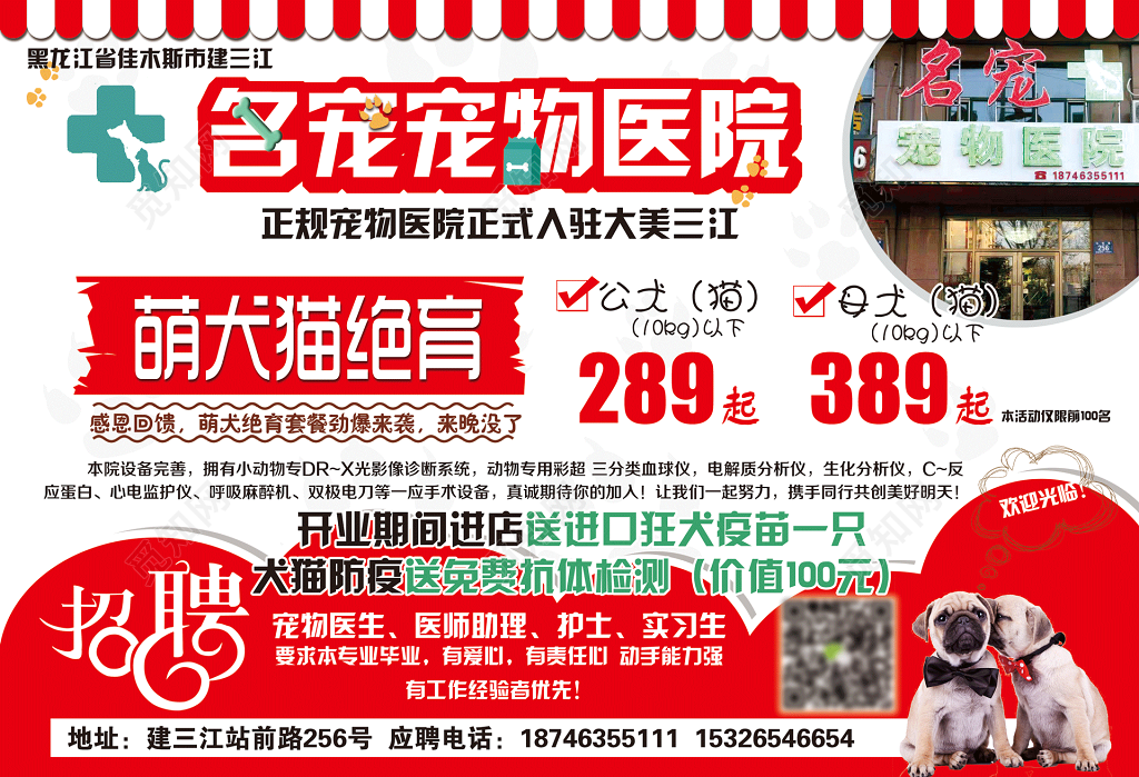 名宠宠物医院宠物店海报