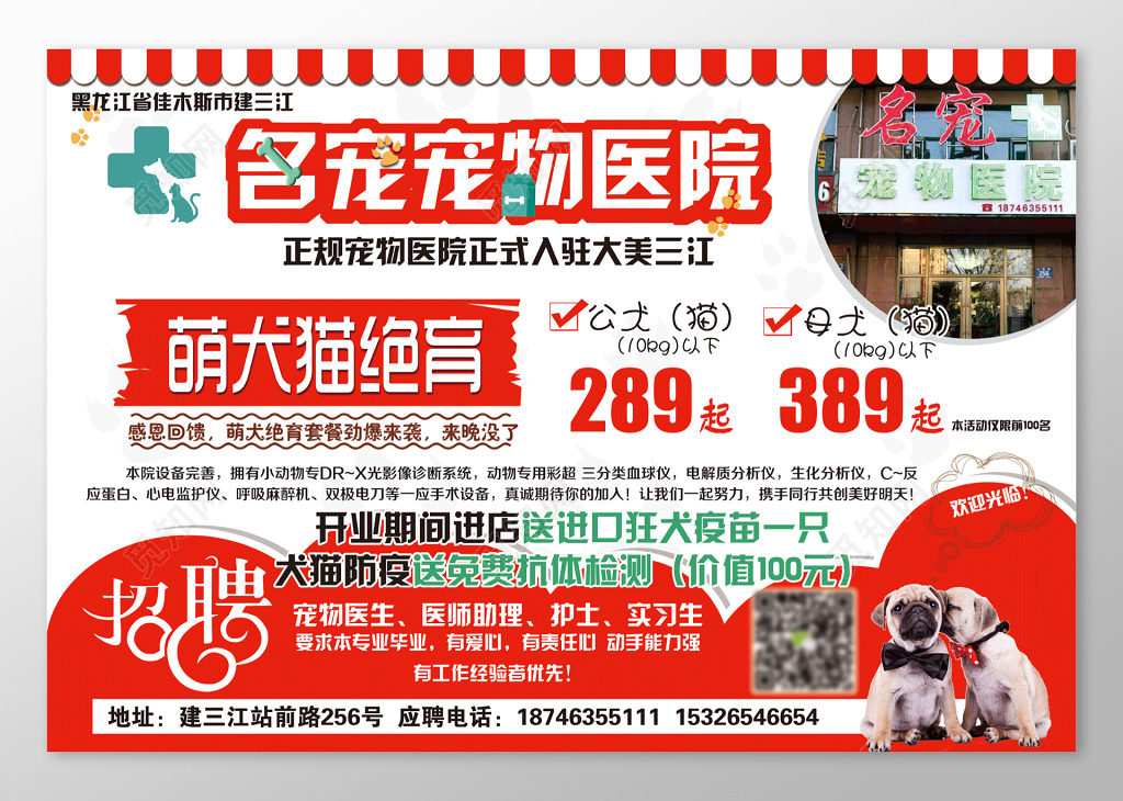 名宠宠物医院宠物店海报