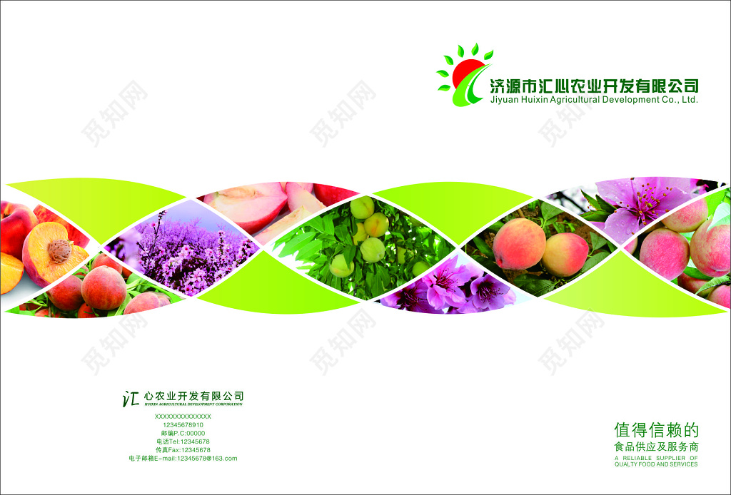 农产品画册开发值得信赖食品供应服务商健康画册模板