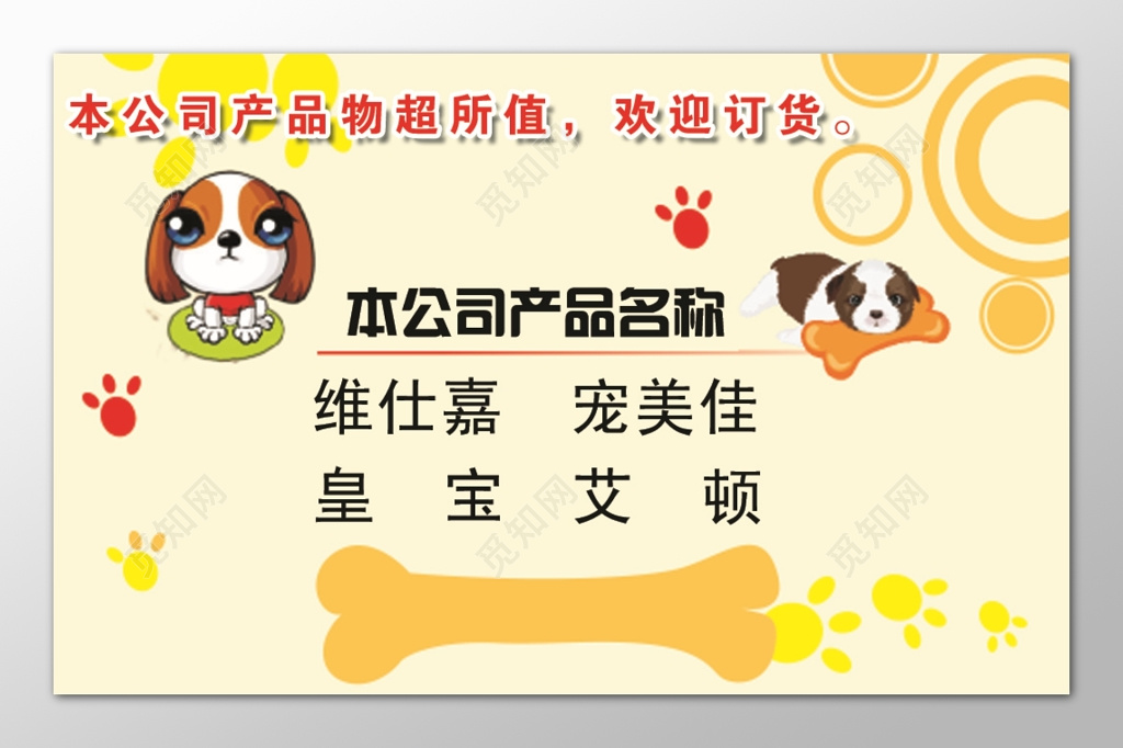 橘色宠物名片