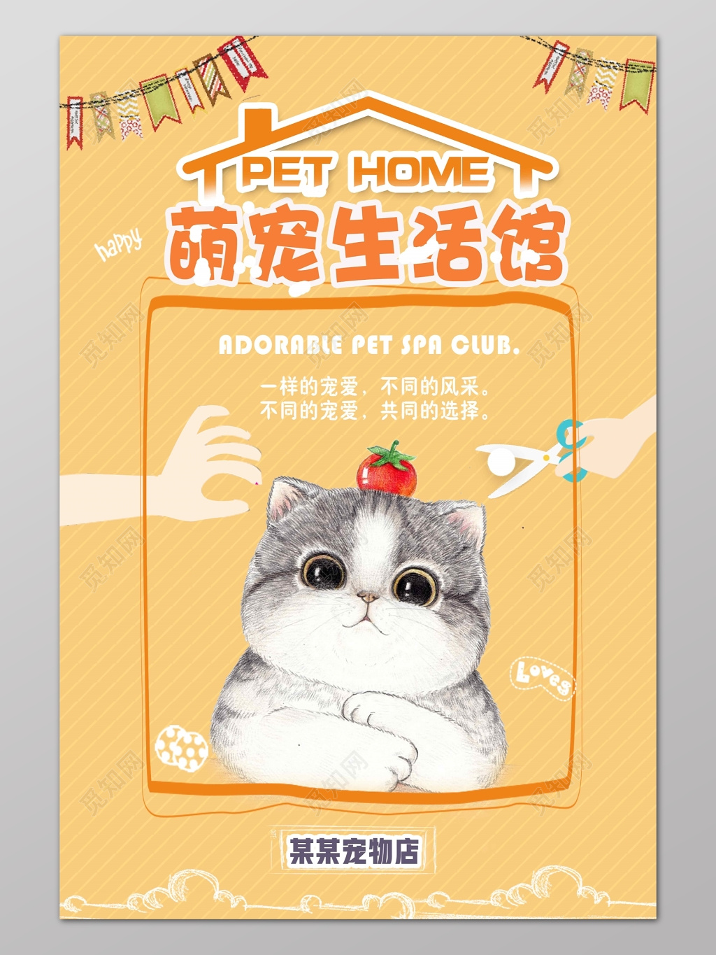 宠物店萌宠生活馆小清新可爱猫海报设计