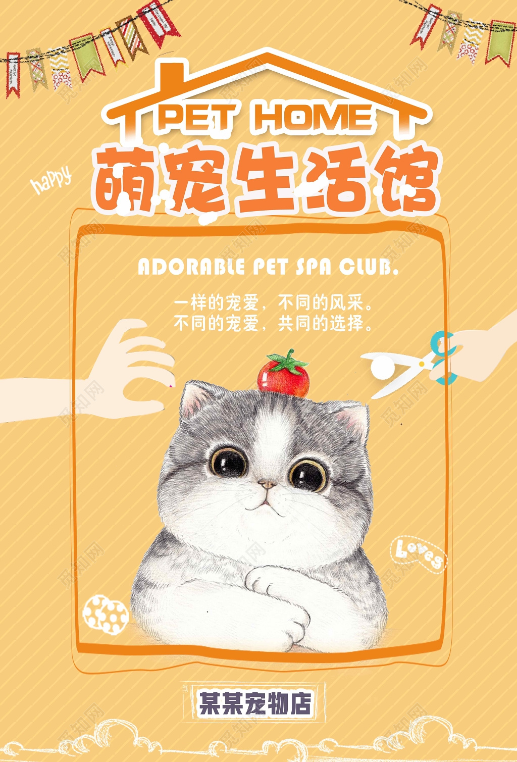宠物店萌宠生活馆小清新可爱猫海报设计