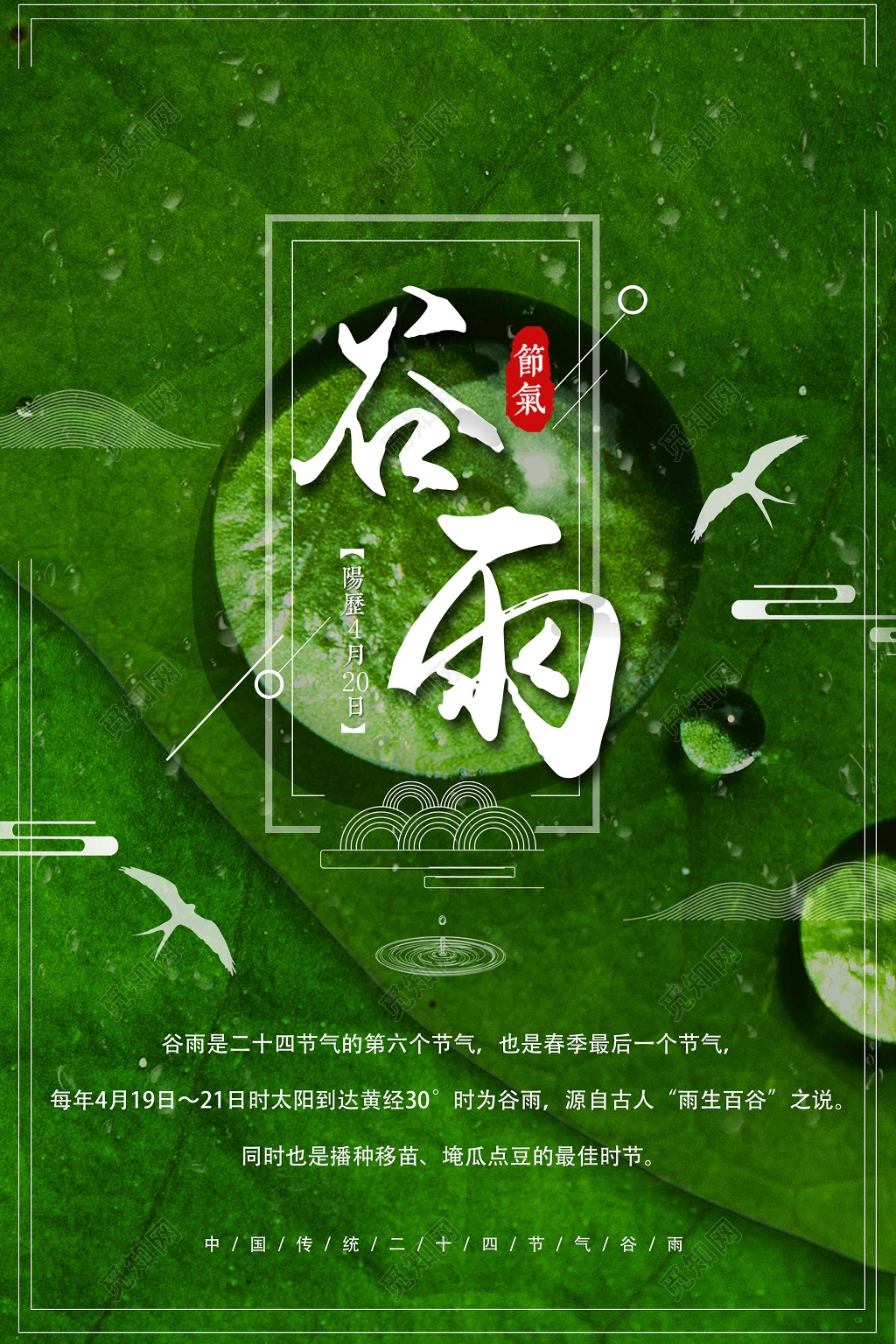 简洁创意谷雨节气海报