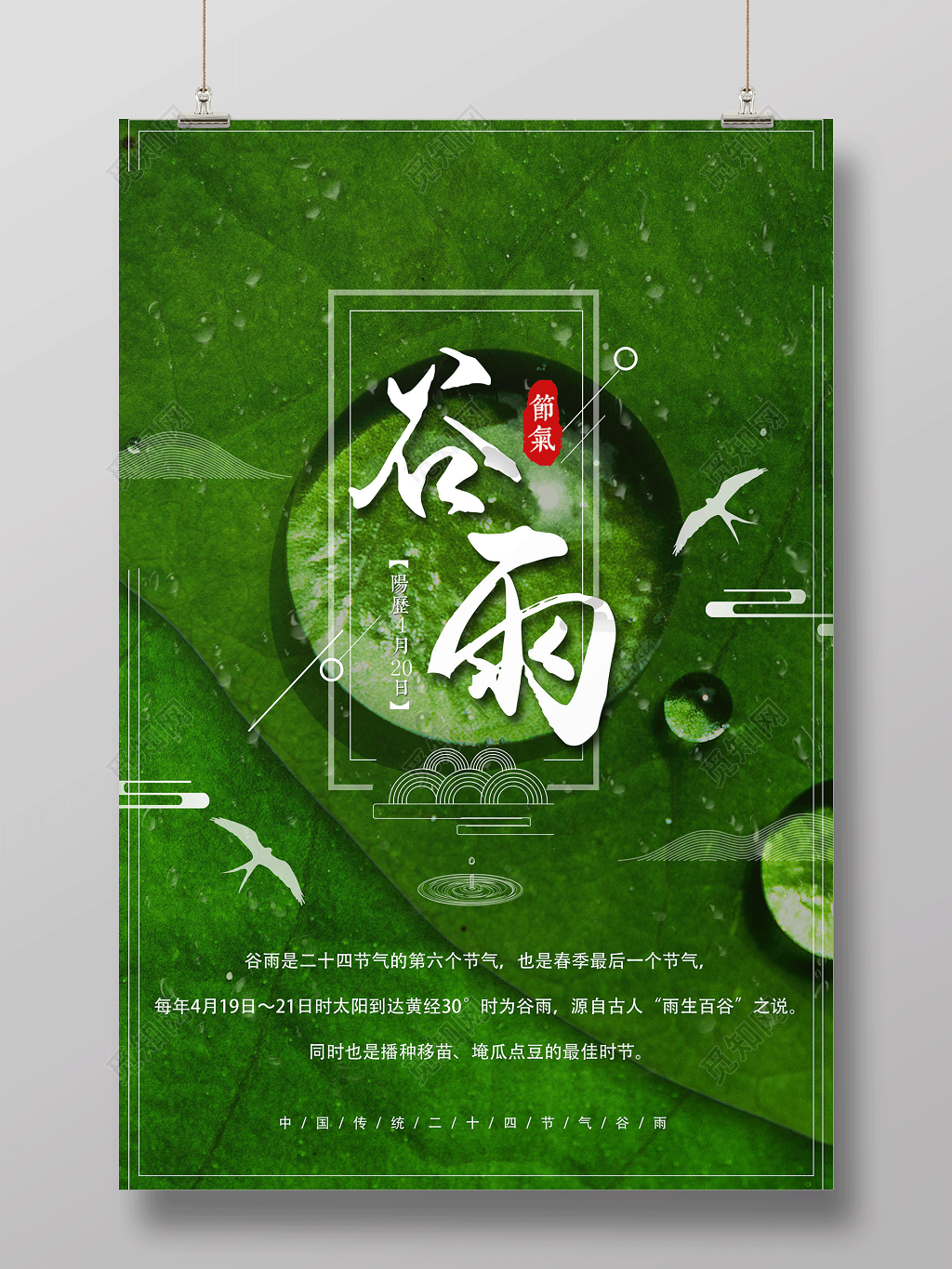 简洁创意谷雨节气海报