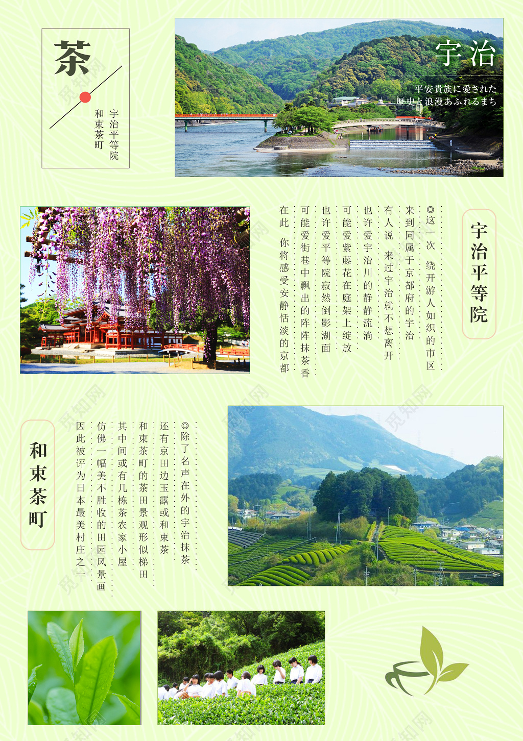 米黄色画册设计