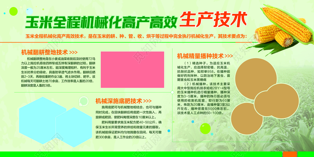 玉米高产高效生产技术宣传海报