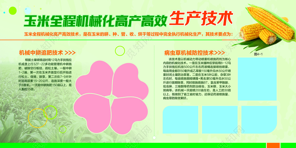 玉米机械化生产情况简介