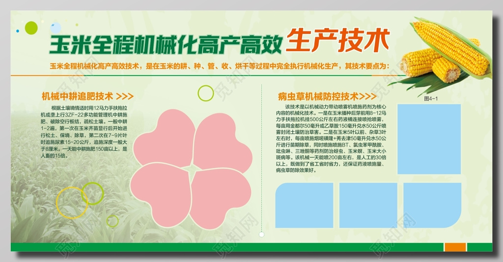 玉米机械化生产情况简介