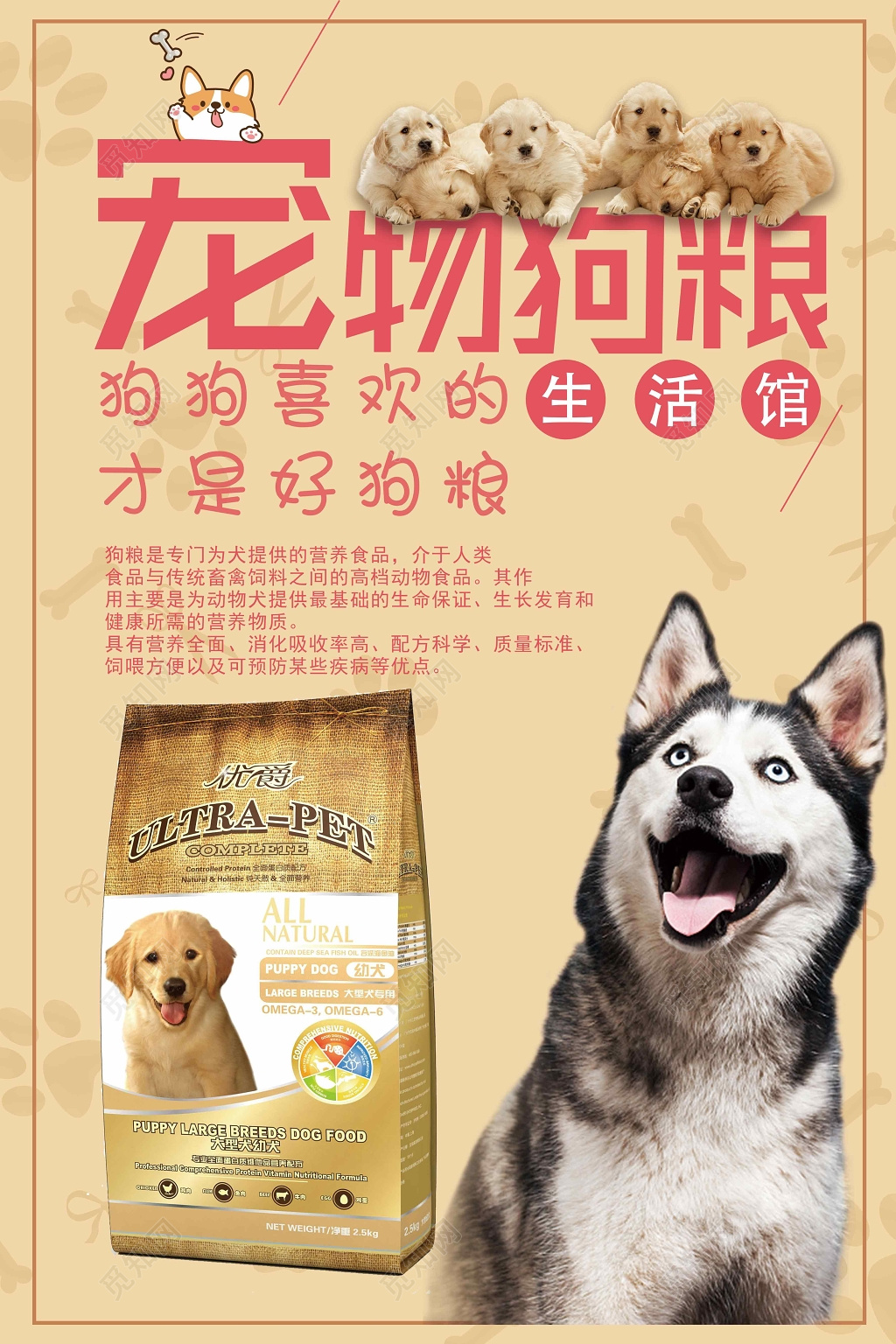 宠物店宠物狗粮简约时尚萌宠生活馆打折海报设计