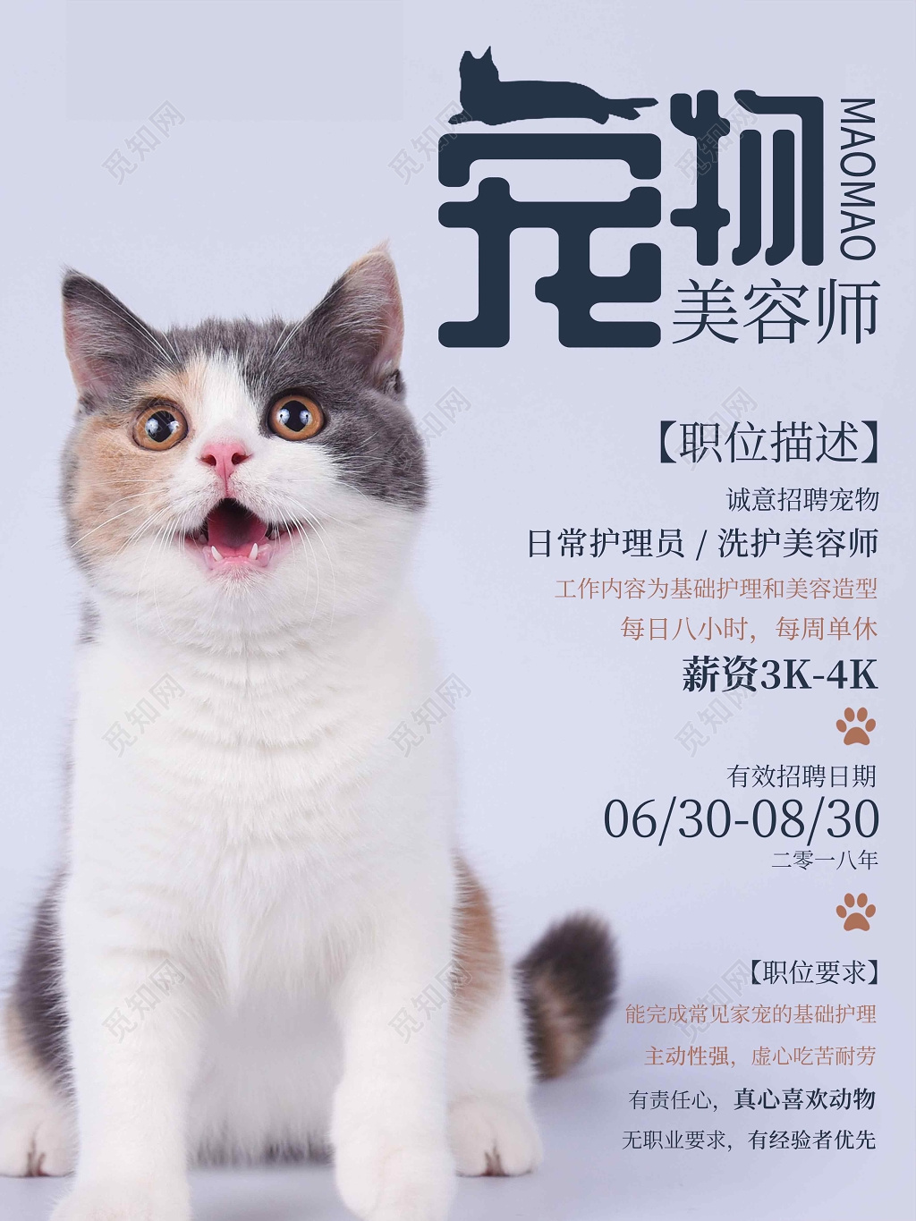 宠物店宠物美容师招聘简约海报设计