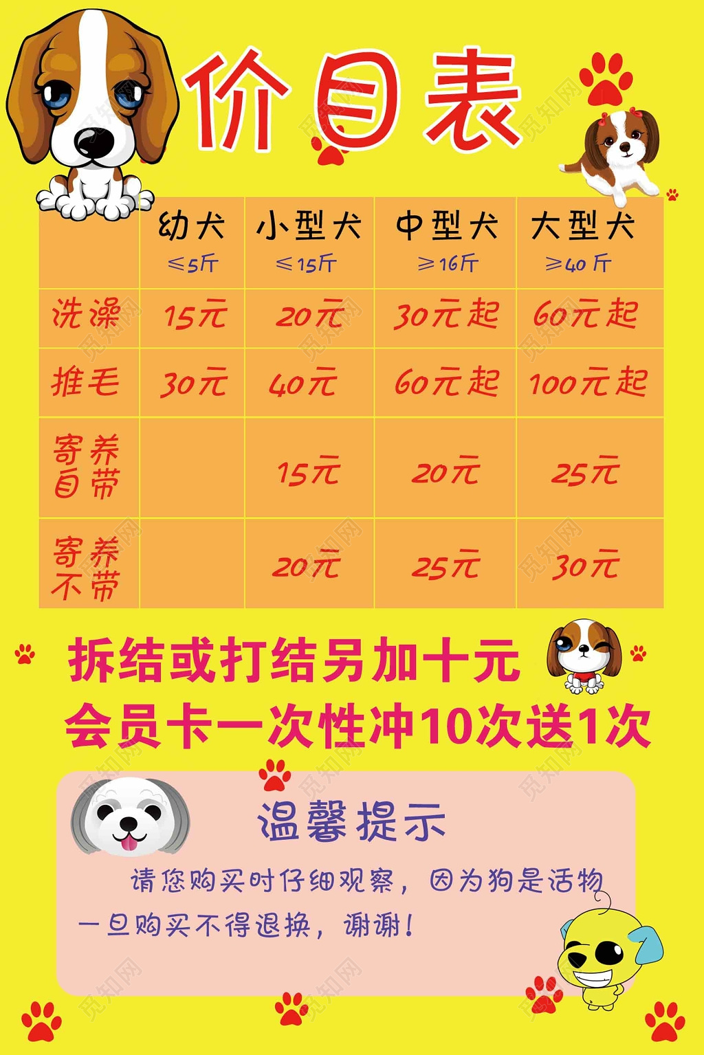 宠物店价目表洗澡宣传单
