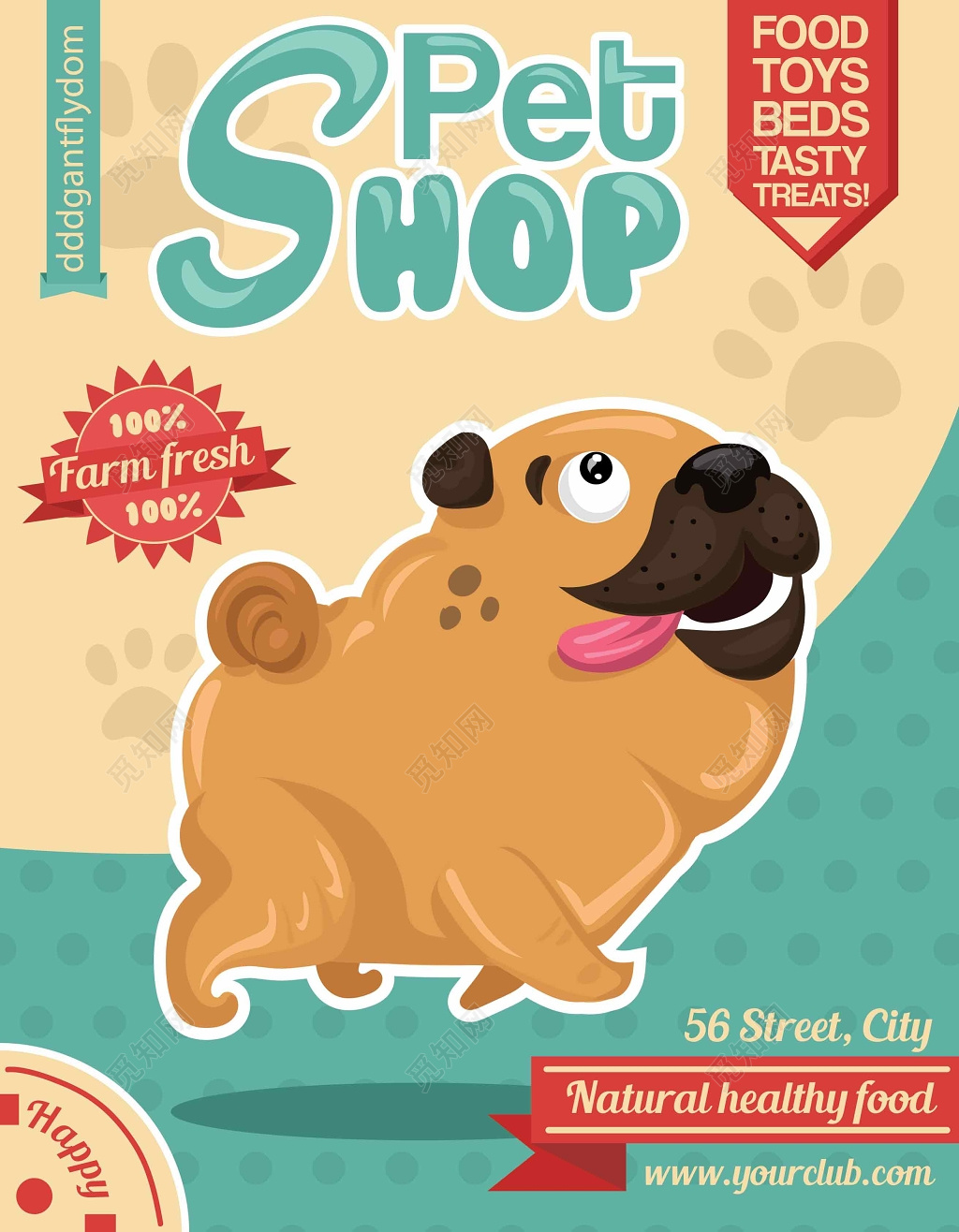 宠物店简约时尚设计感可爱手绘海报设计