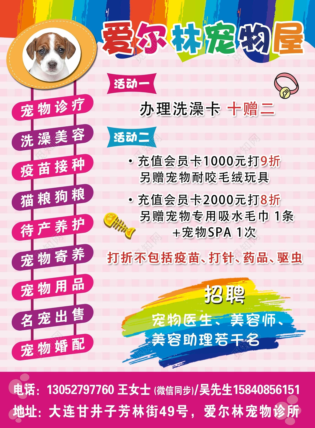 宠物店可爱爱尔林宠物屋会员宠物医生美容招聘宣传单