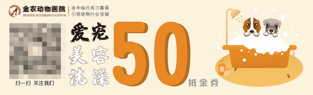 宠物店萌宠美食宠物医院抵用券卡券