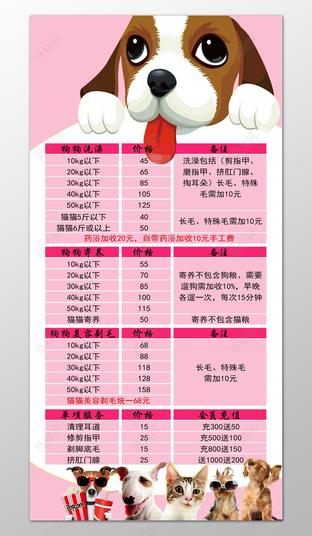 宠物店洗澡美容价目表粉色宣传单