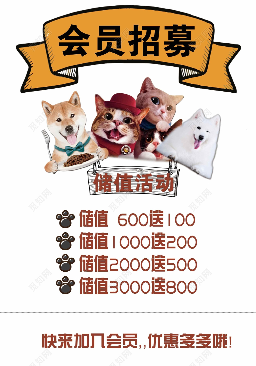 宠物店会员招募充值海报