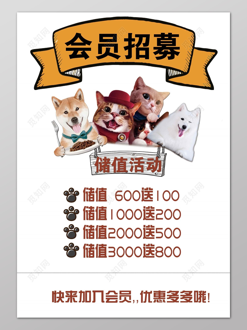 宠物店会员招募充值海报
