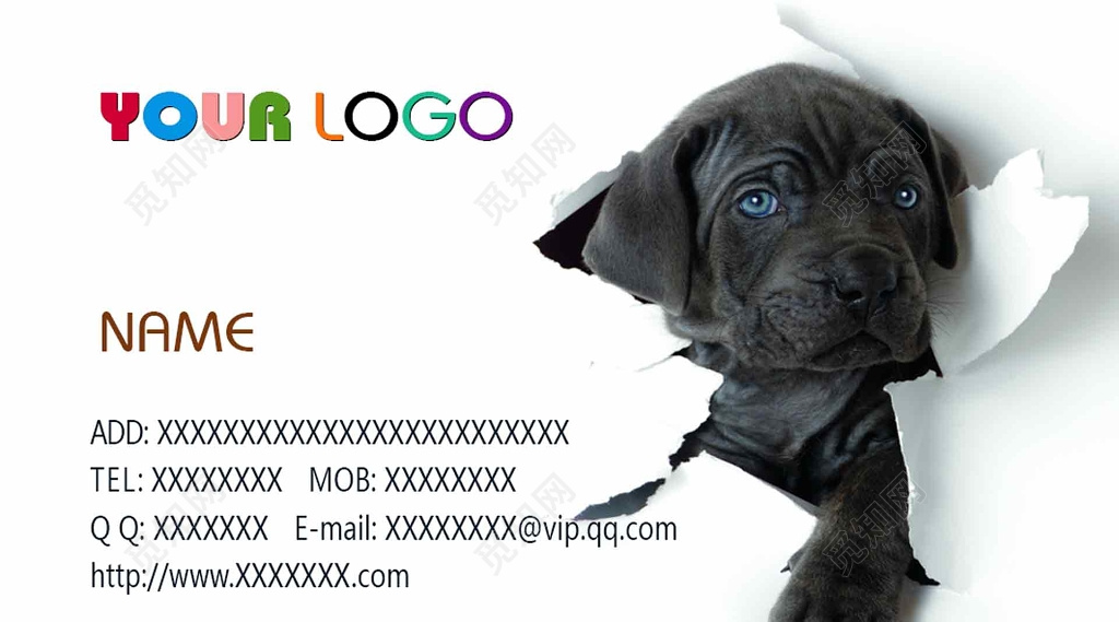 宠物店简约时尚名片设计