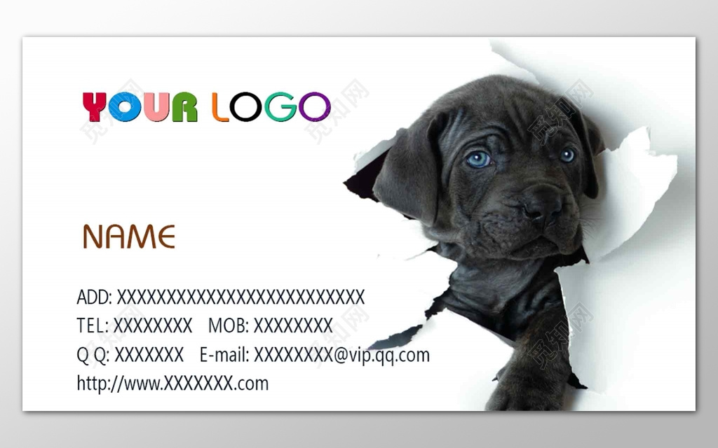 宠物店简约时尚名片设计