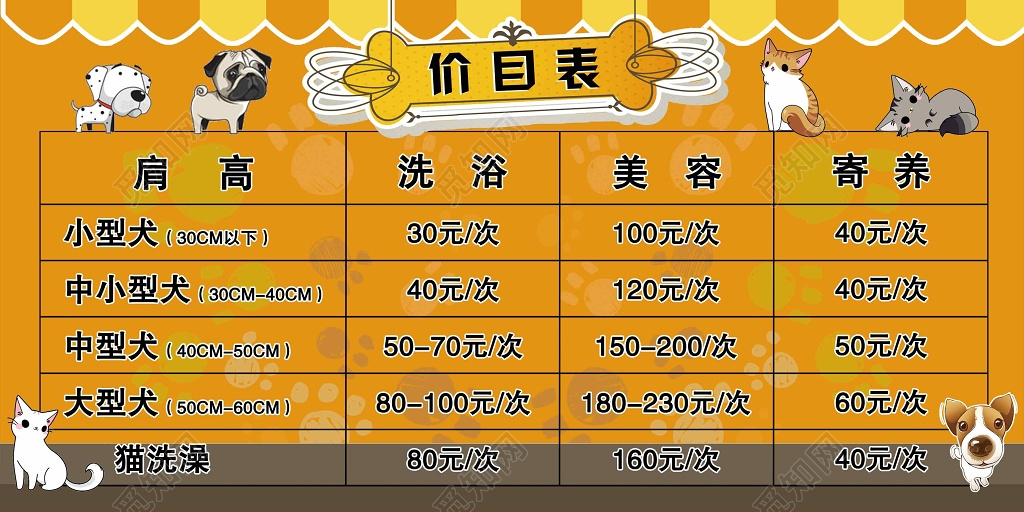 宠物店价目表设计宣传单