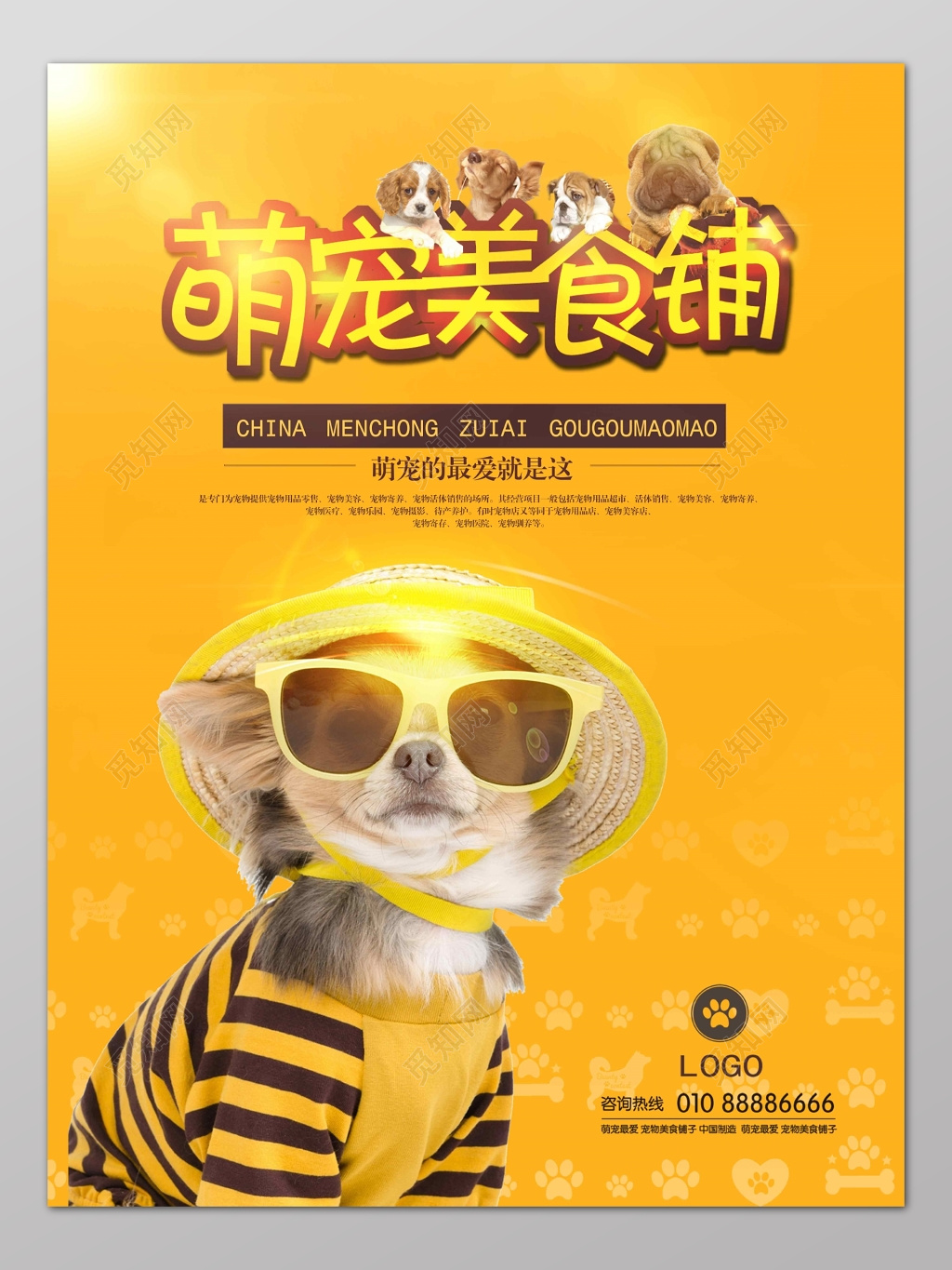 宠物店萌宠美食铺简约时尚海报设计