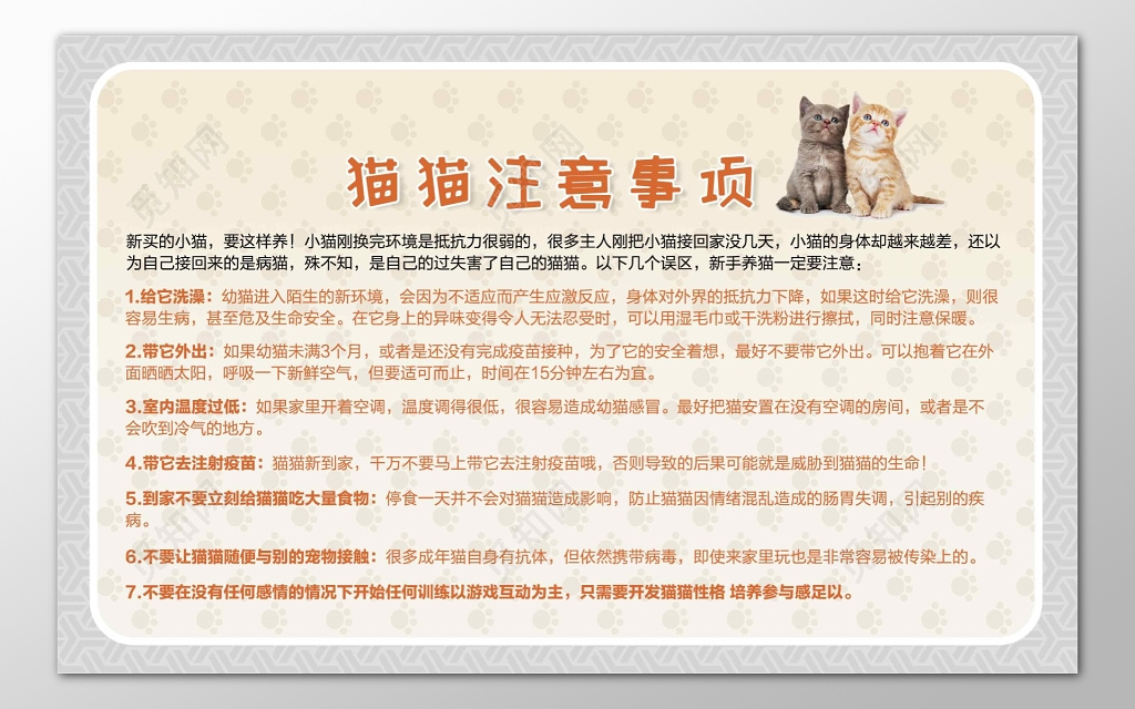 宠物店猫猫注意事项规章制度展板设计