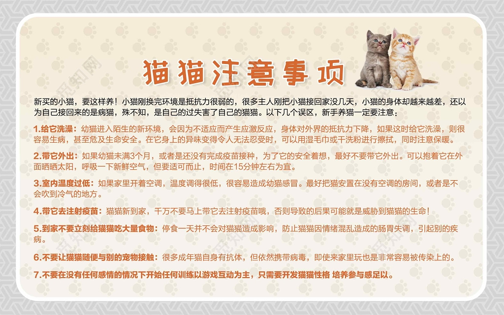 宠物店猫猫注意事项规章制度展板设计