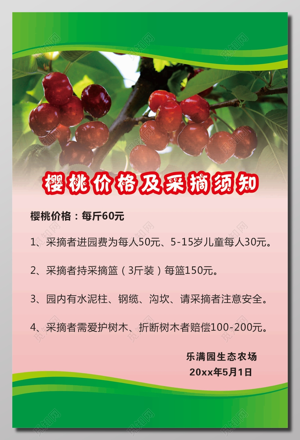 樱桃价格及采摘须知宣传海报
