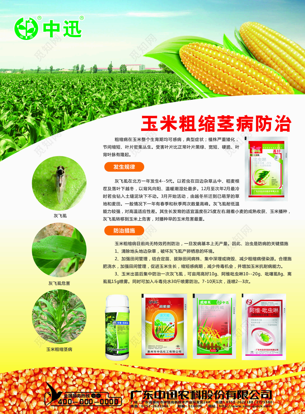 玉米粗缩茎病防治宣传海报