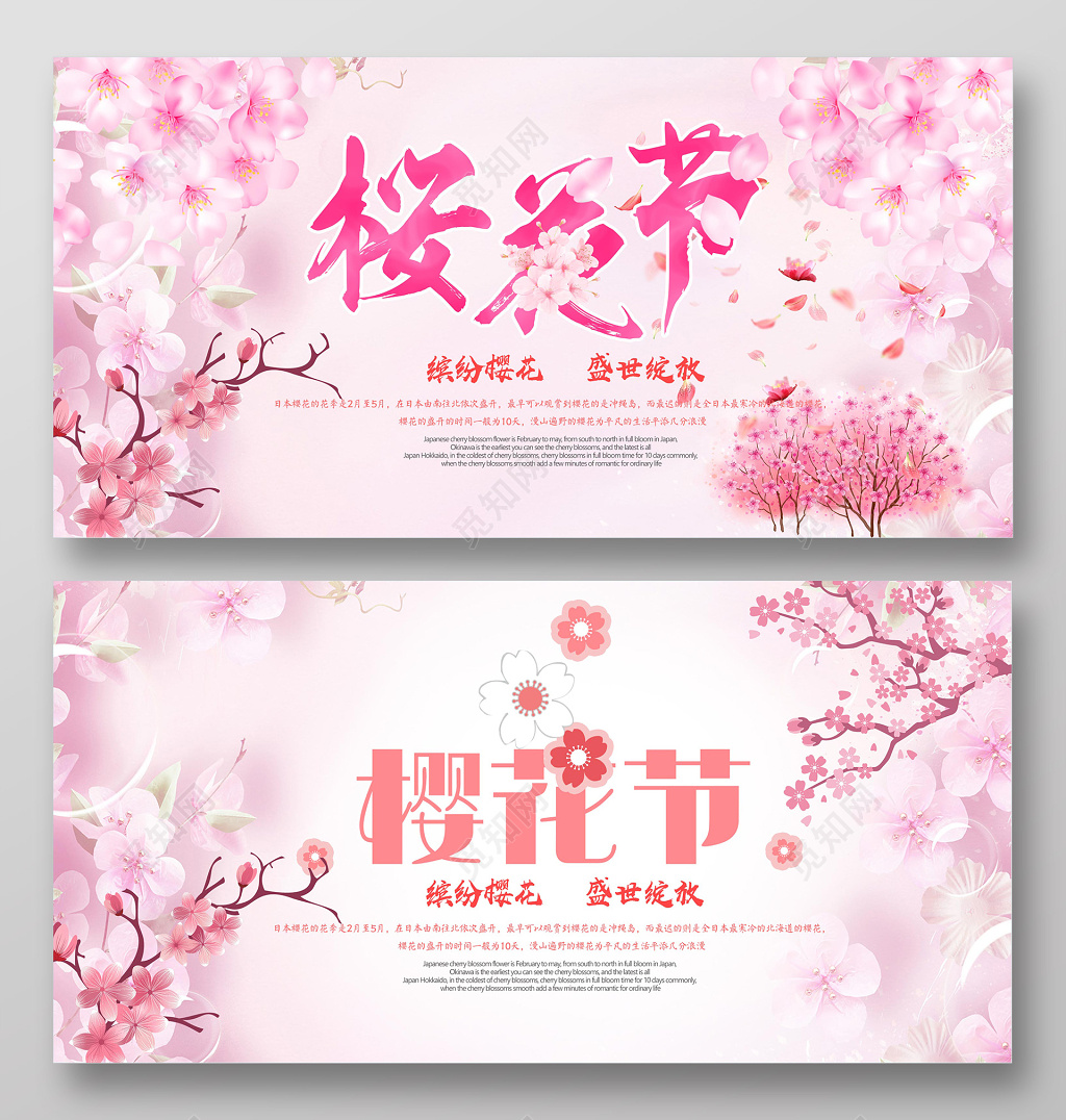 浪漫樱花节盛开展板设计