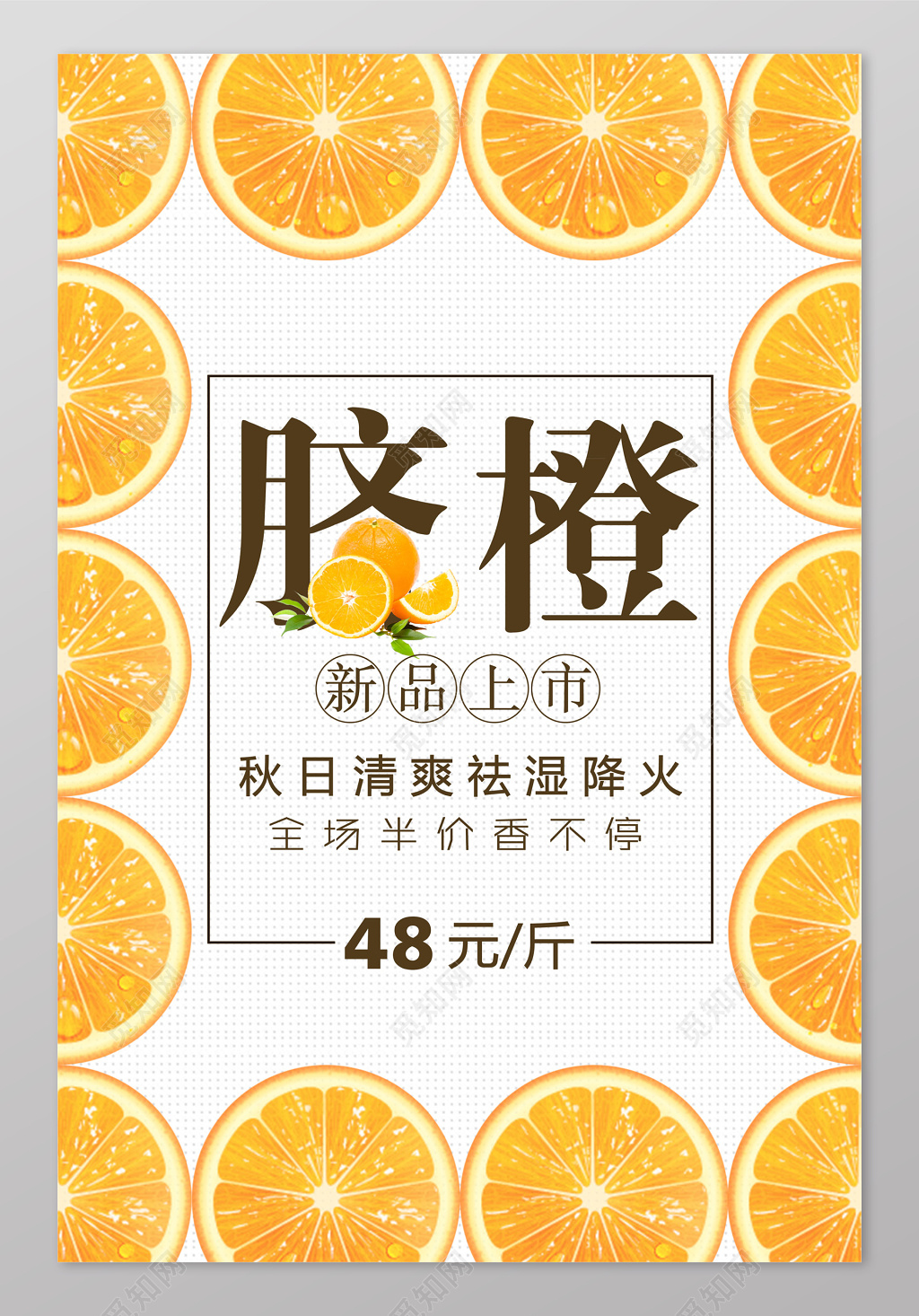 脐橙新品上市橙子生鲜新鲜水果海报