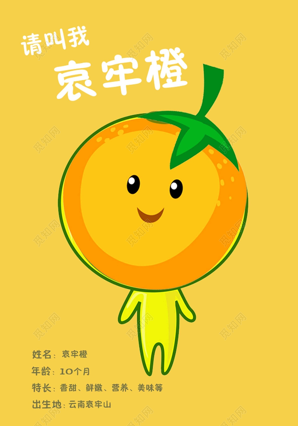 哀牢橙卡通橙子生鲜新鲜水果海报