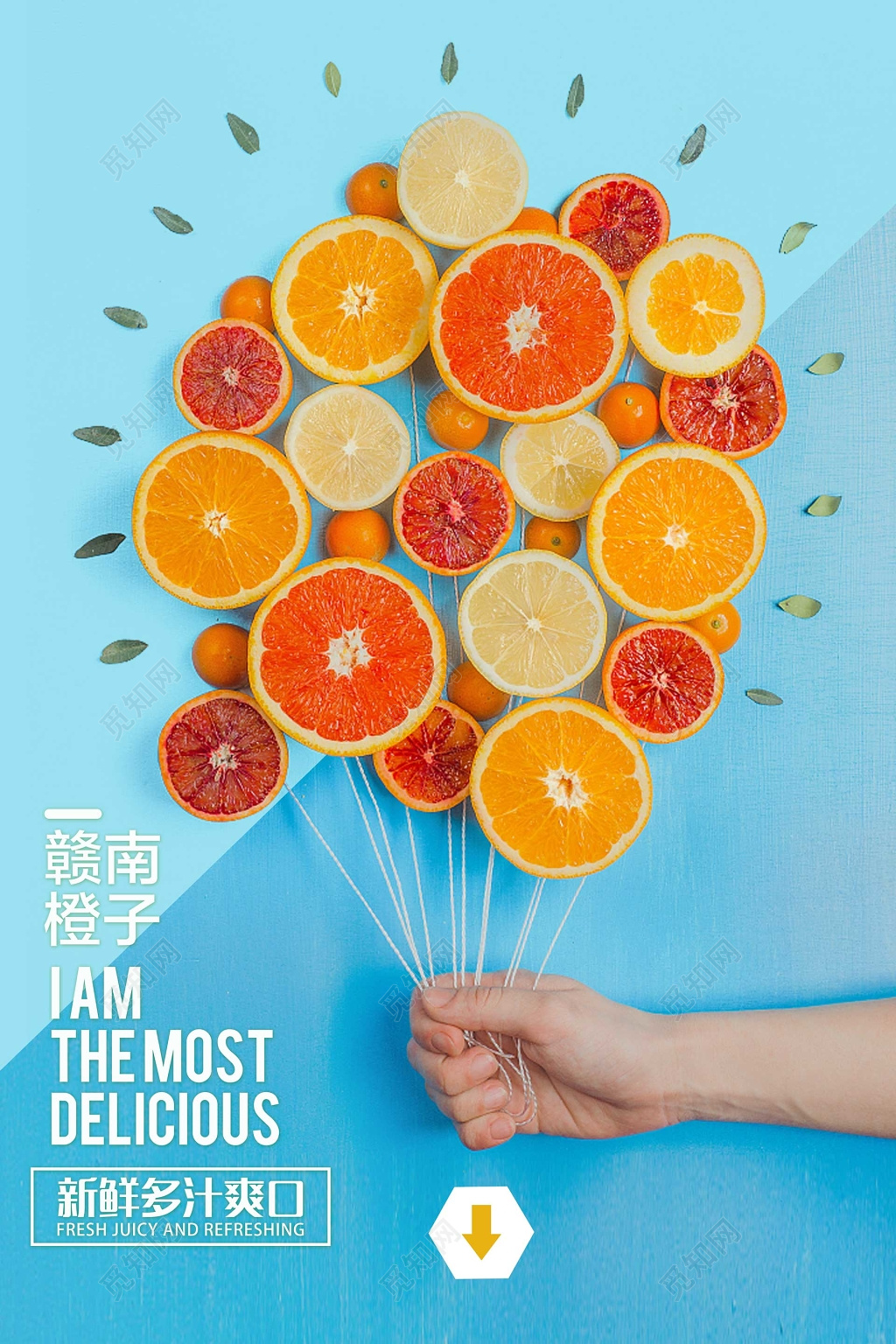 清新赣南橙子生鲜新鲜水果海报