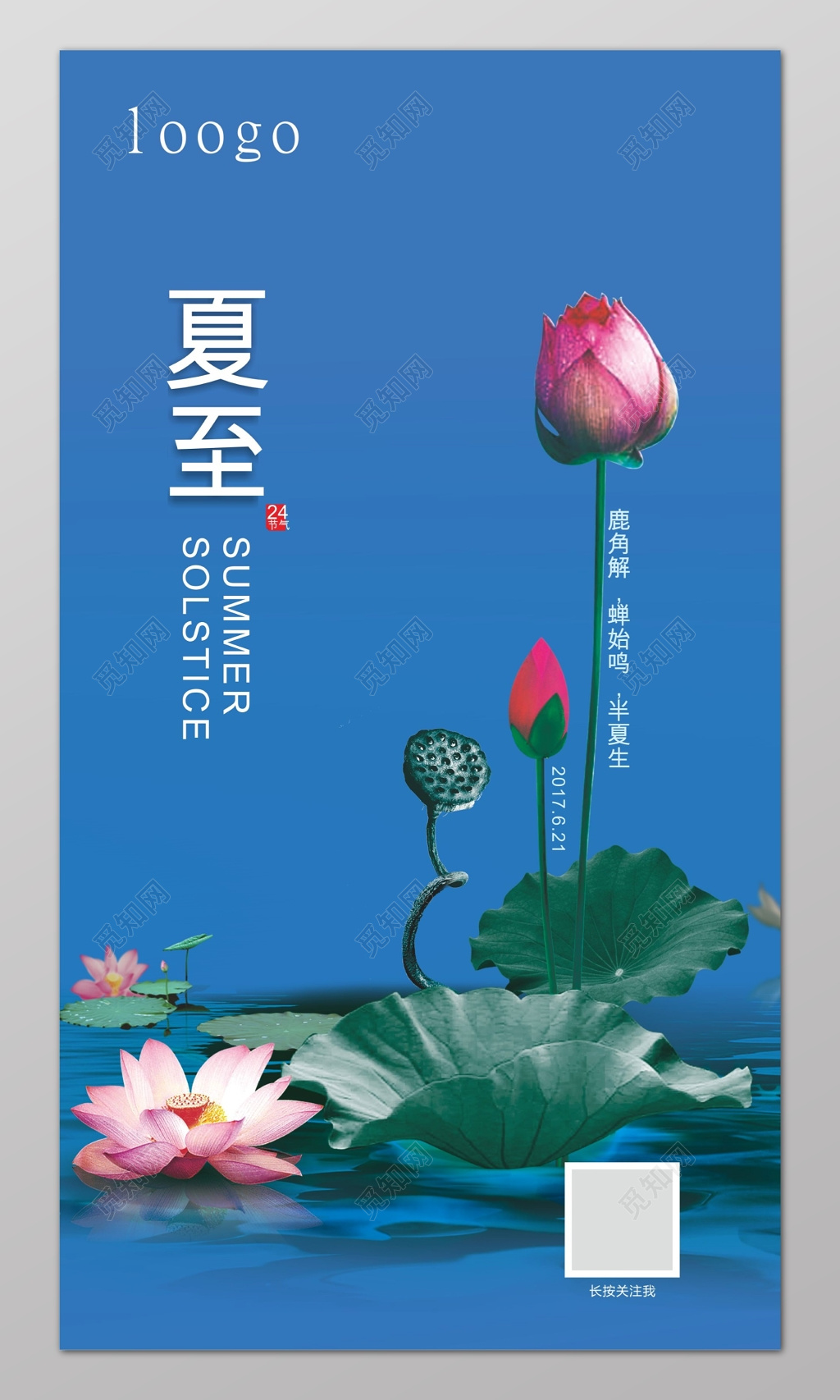 蓝色荷花夏至宣传海报