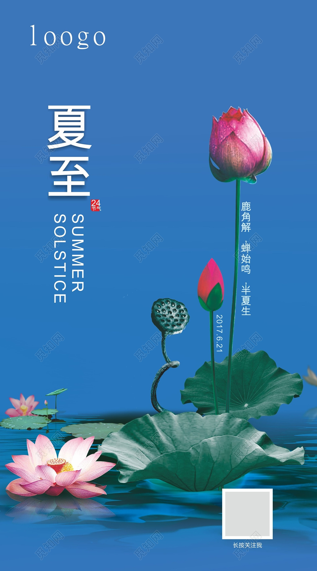 蓝色荷花夏至宣传海报