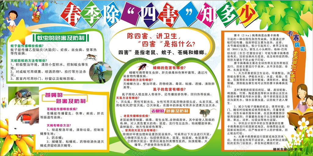 春季除四害宣传栏